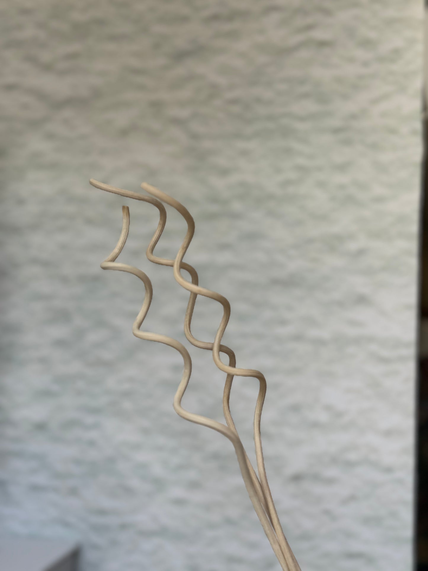 Swirl Diffuser Reeds