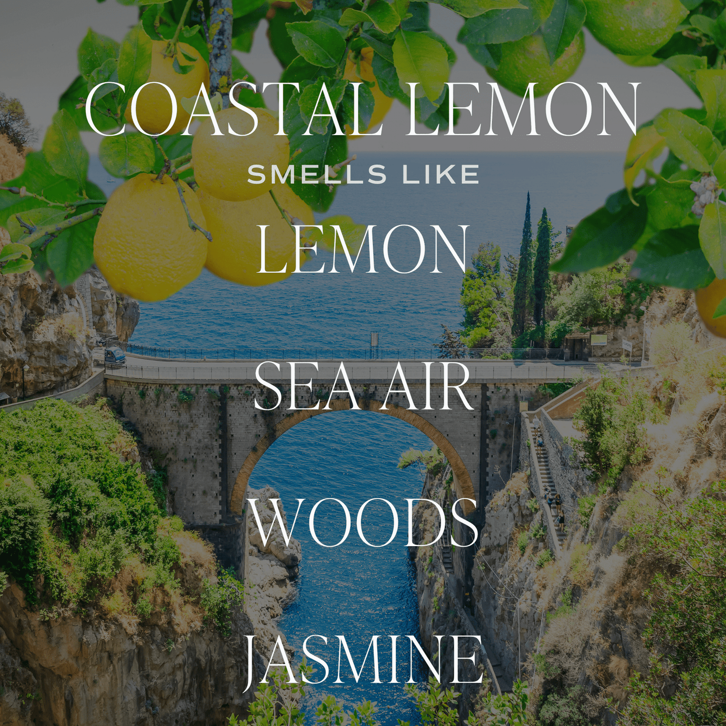 Coastal Lemon 12 oz Candle - SPARROW