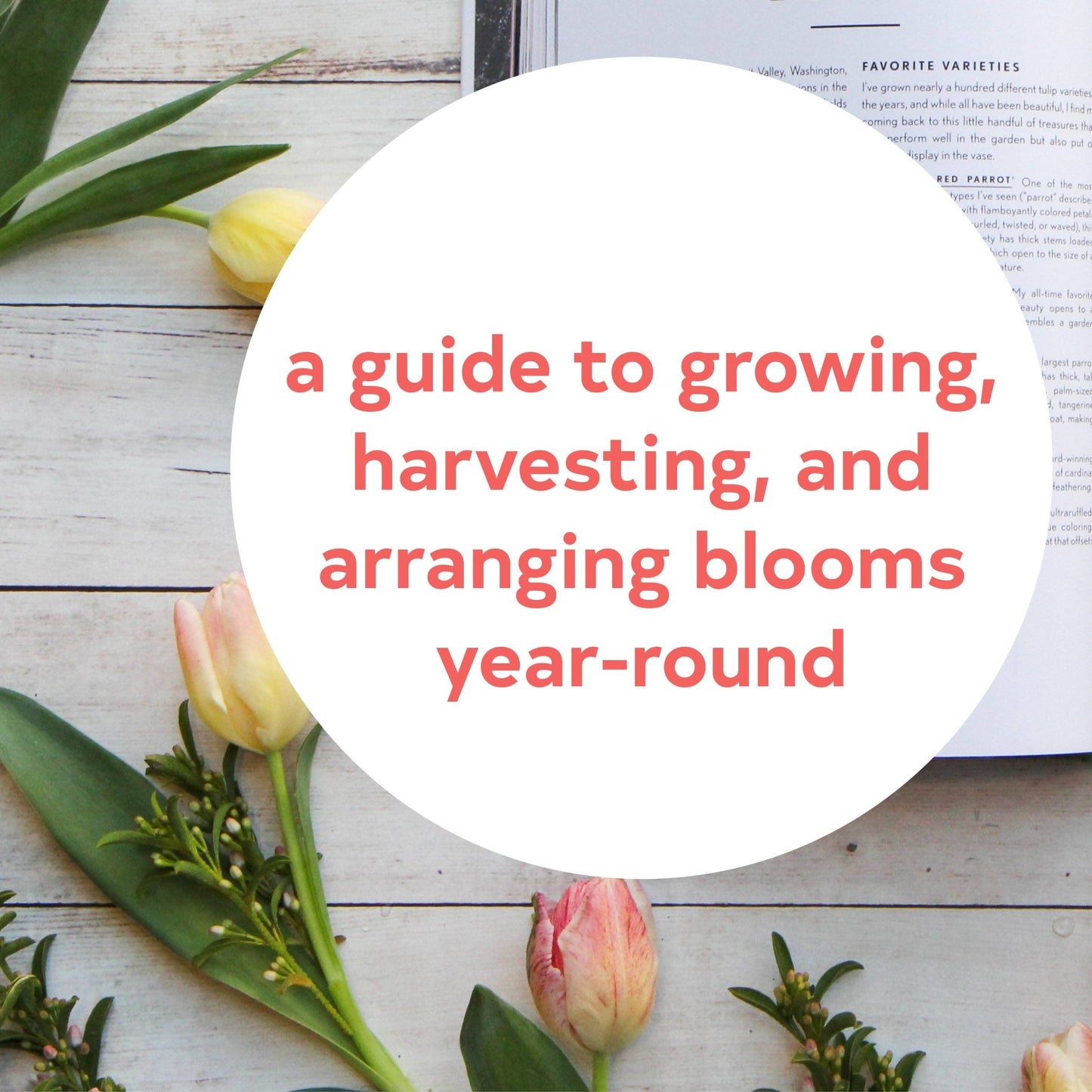 Floret Farm's Cut Flower Garden - SPARROW
