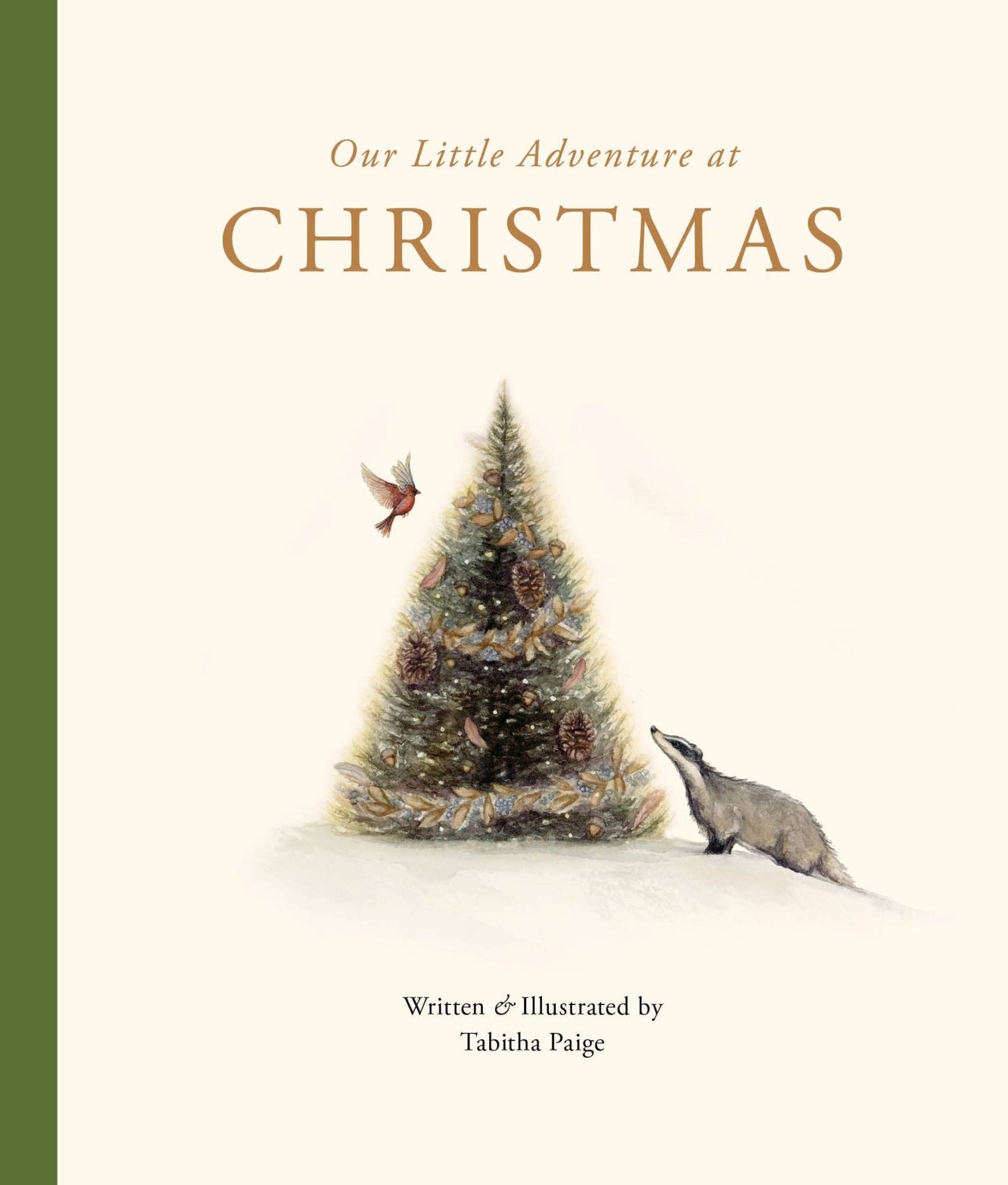 Our Little Adventure at Christmas - SPARROW