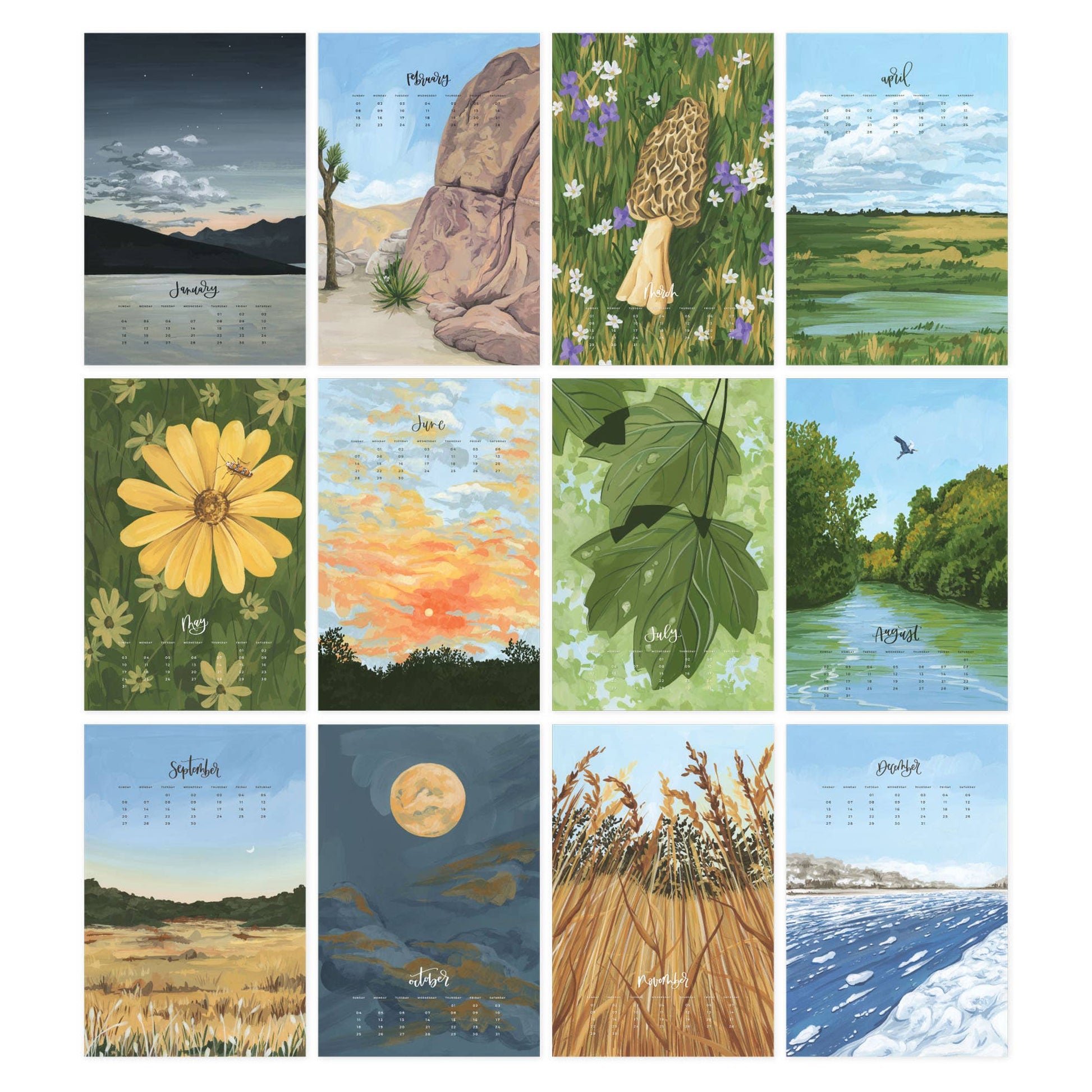 2026 XL Calendar - Natural World - SPARROW