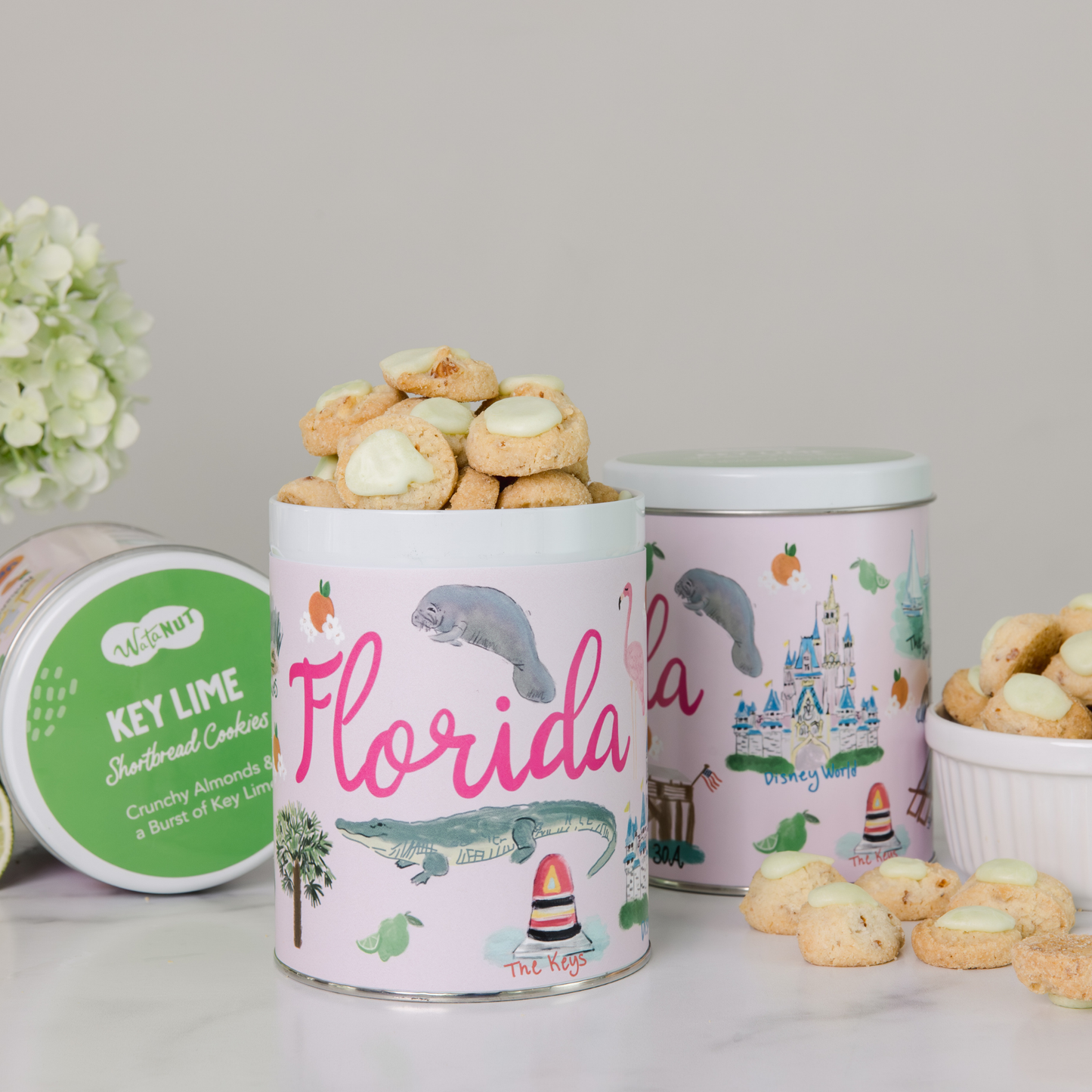 Florida State Gift Tin: Praline Pecans