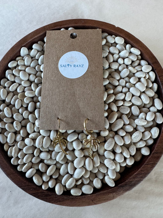 Salty Rayz Palm Coast Tree 14KGP