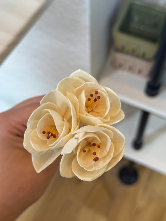 Flower Diffuser Reeds