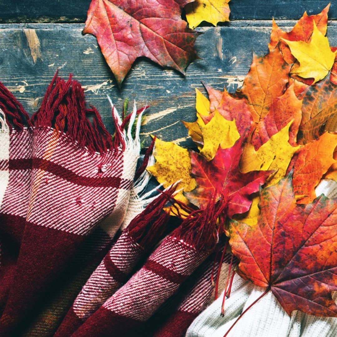 Autumn Flannel  - 8 oz Soy Candle - Recycled Glass Jars