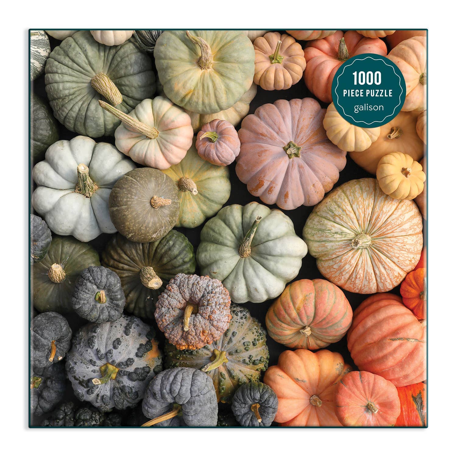 Heirloom Pumpkins 1000 Piece Puzzle in Square Box - SPARROW