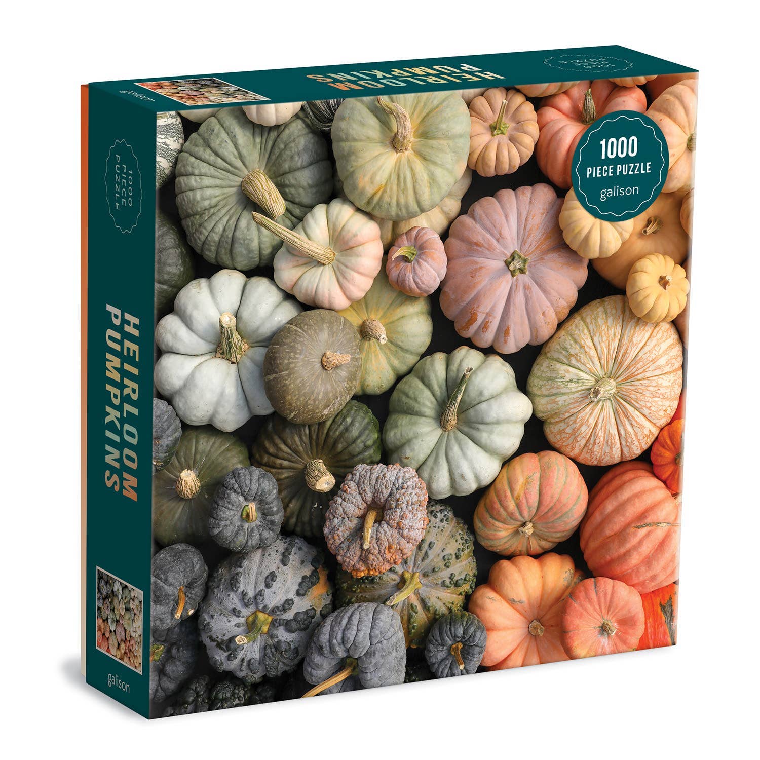 Heirloom Pumpkins 1000 Piece Puzzle in Square Box - SPARROW