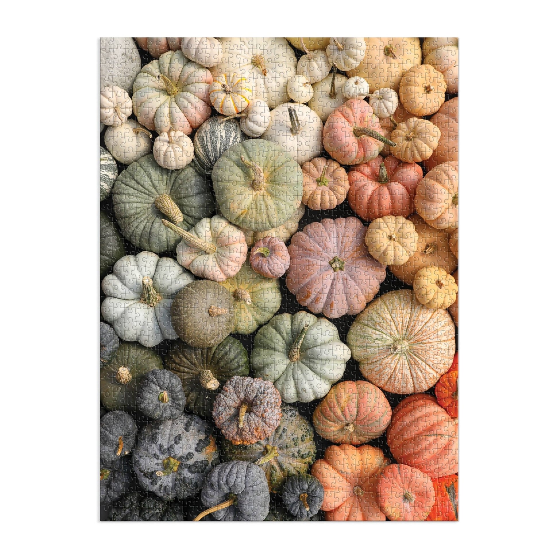 Heirloom Pumpkins 1000 Piece Puzzle in Square Box - SPARROW