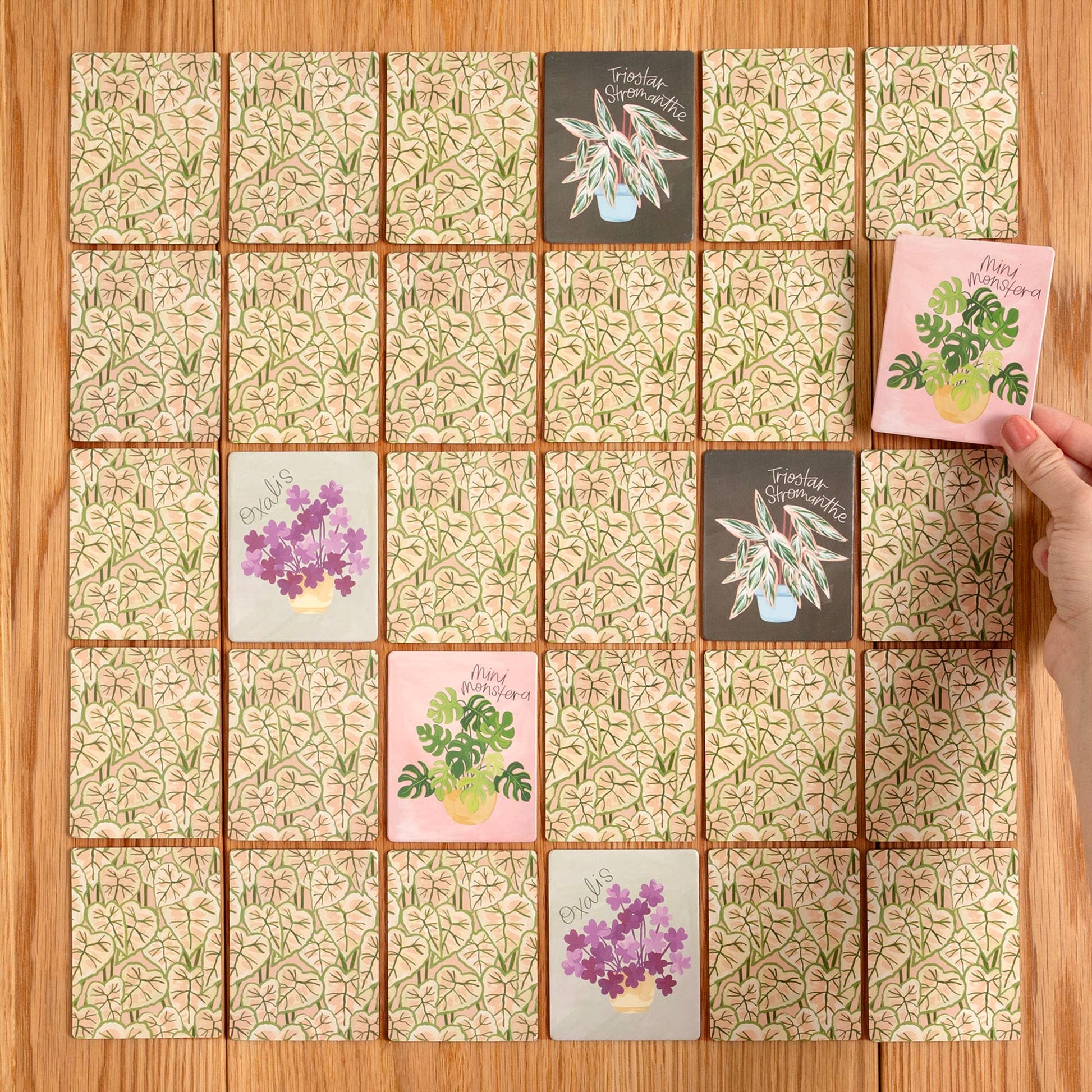 Houseplants Memory Game - SPARROW