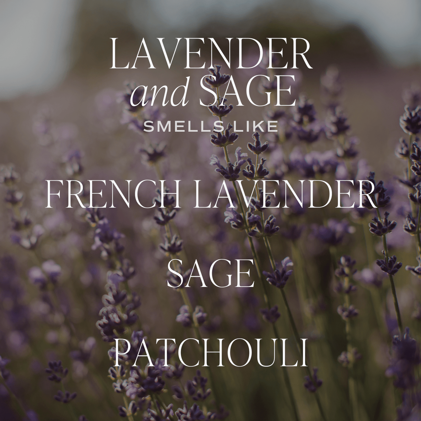 Lavender and Sage 12 oz Candle - SPARROW