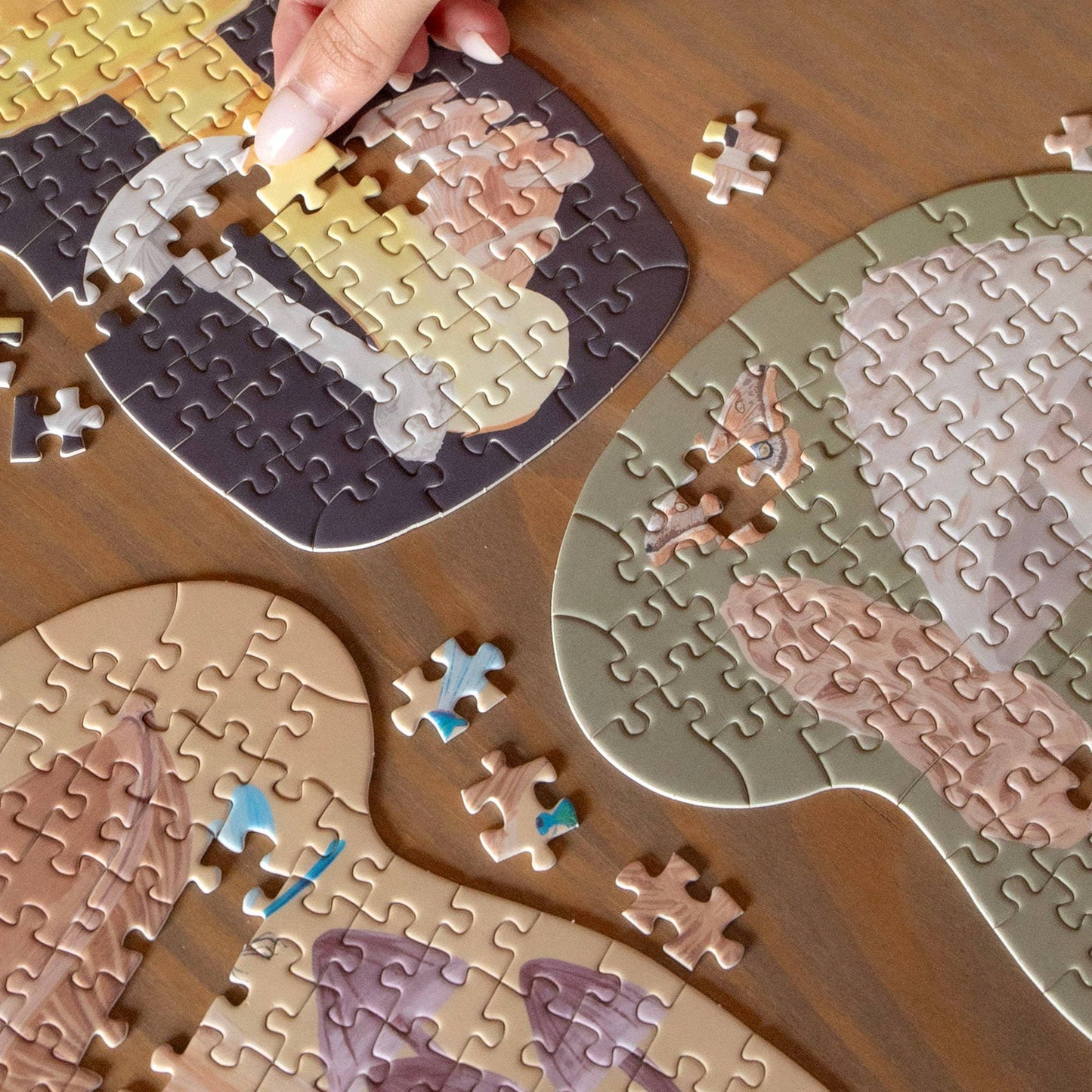 Midnight Flora & Fauna - 100 Piece Jigsaw Puzzles - Set of 3 - SPARROW