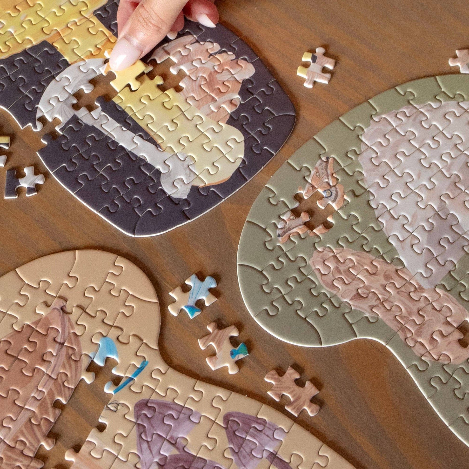 Midnight Flora & Fauna - 100 Piece Jigsaw Puzzles - Set of 3 - SPARROW