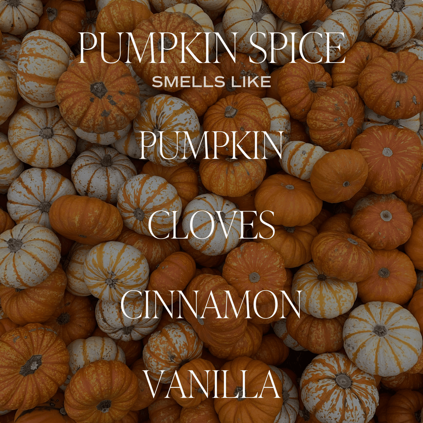 Pumpkin Spice 11 oz Soy Candle - SPARROW