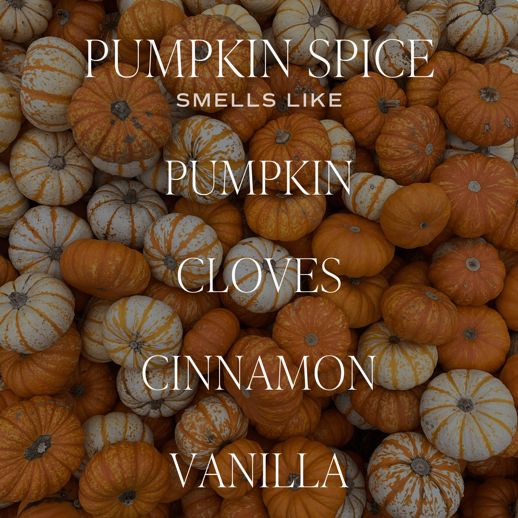 Pumpkin Spice 12 oz Soy Candle - SPARROW