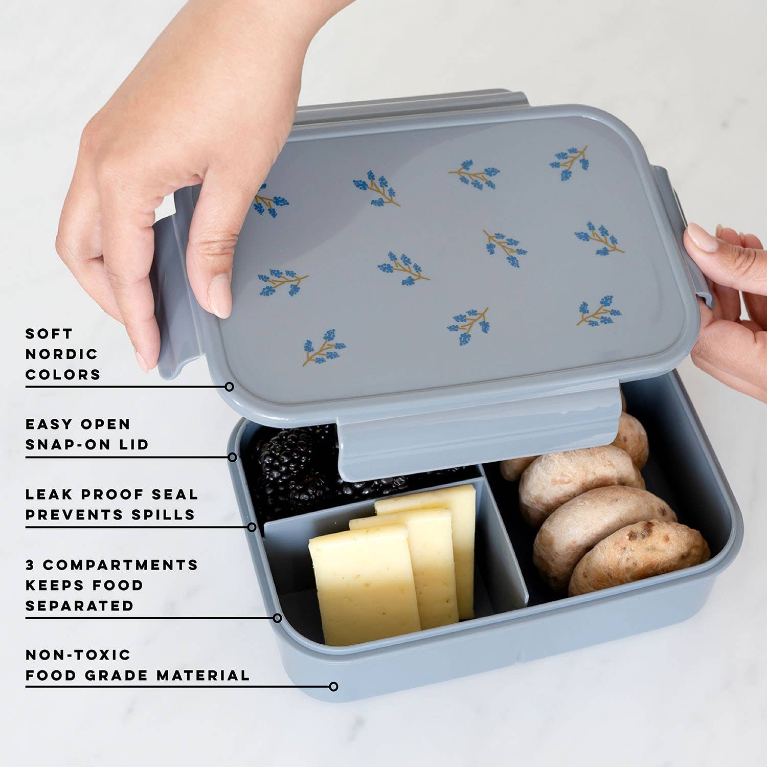 Recycled Plastic Bento Box: Blueberry Blue - SPARROW