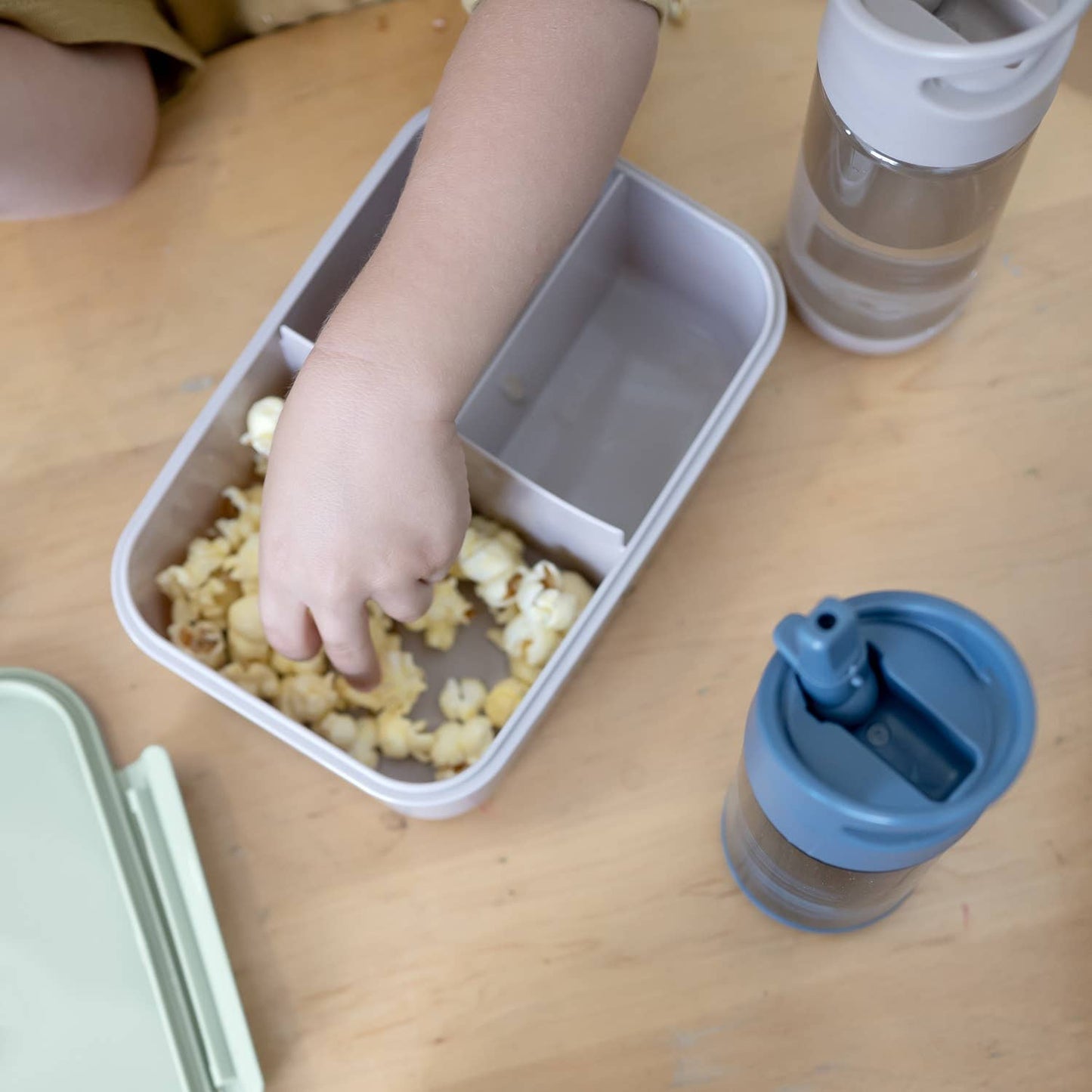 Recycled Plastic Bento Box: Blueberry Blue - SPARROW