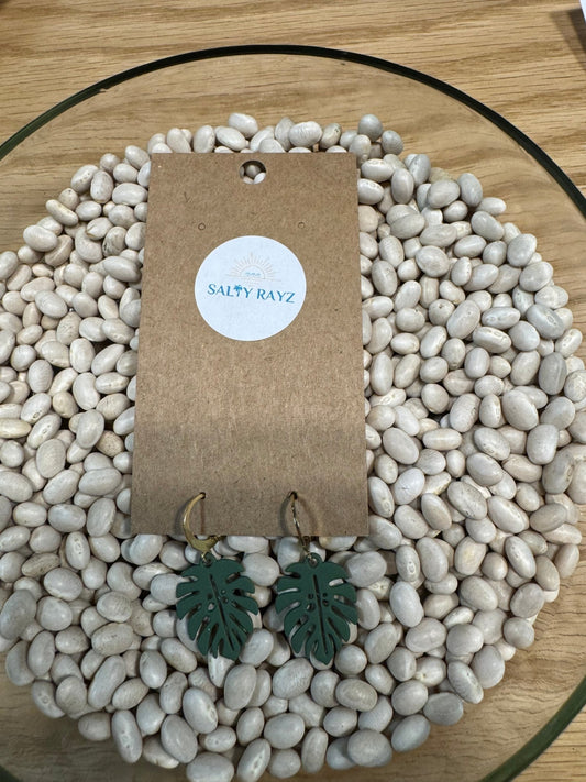 Salty Rayz Mini Monstera Green 24KGP - SPARROW