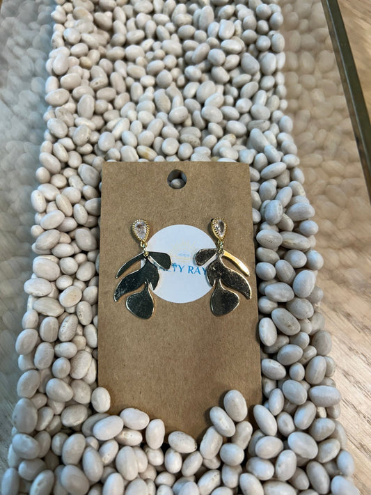 Salty Rayz Tear Drop Monstera 18 KGP - SPARROW