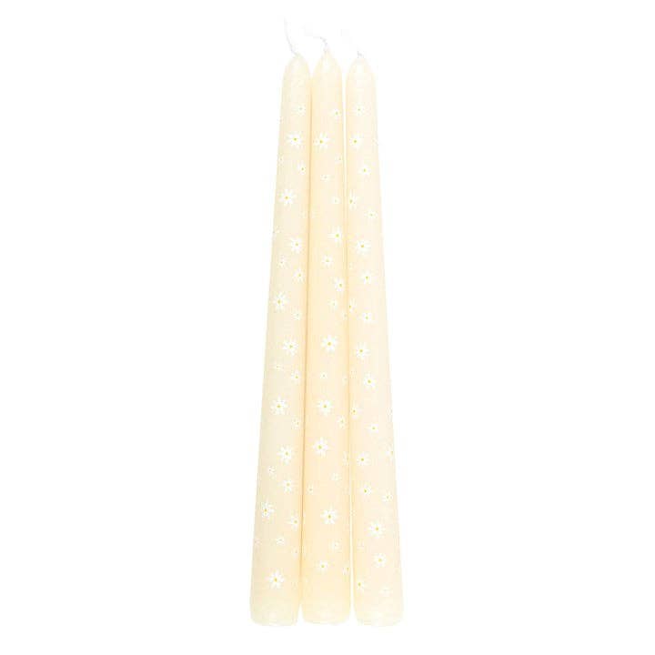 Set of 3 Carrot Patch White Daisy Taper Candles - SPARROW