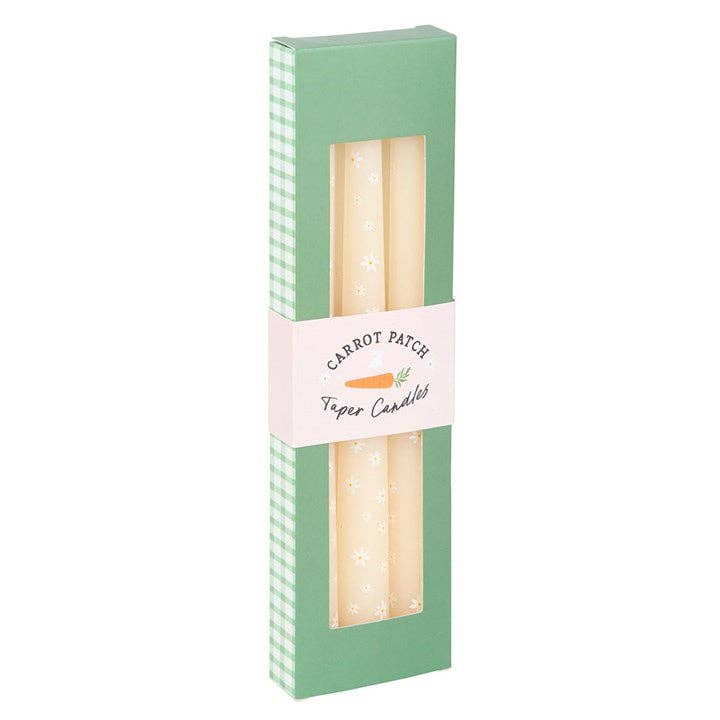 Set of 3 Carrot Patch White Daisy Taper Candles - SPARROW