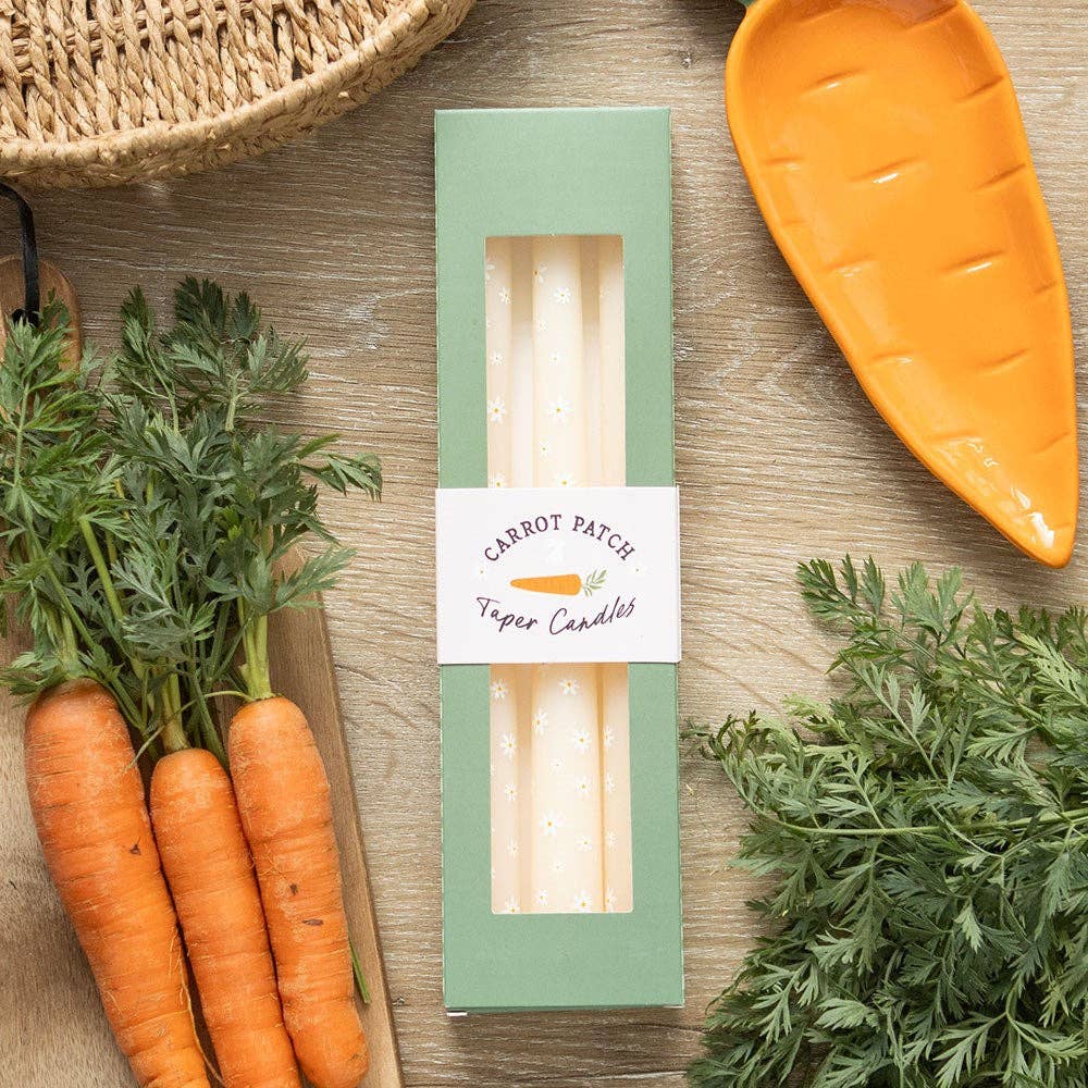 Set of 3 Carrot Patch White Daisy Taper Candles - SPARROW