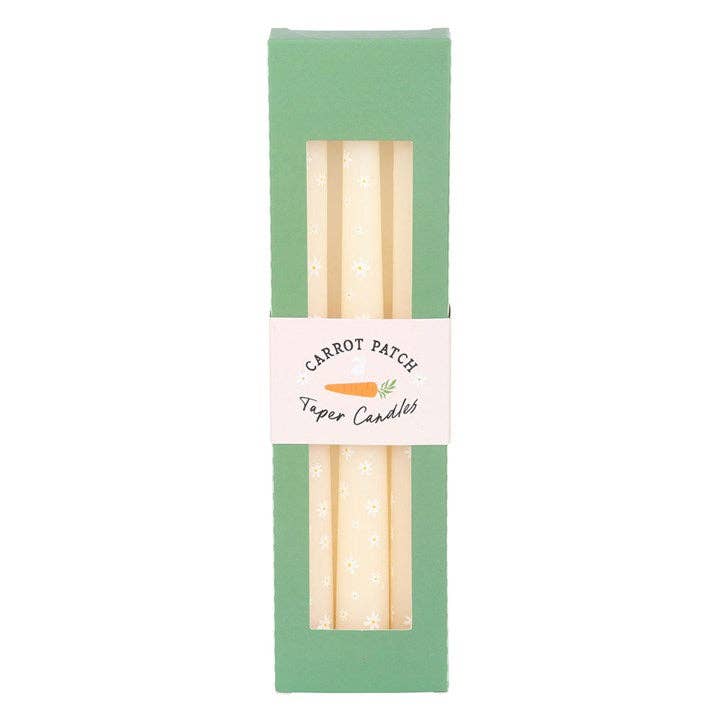 Set of 3 Carrot Patch White Daisy Taper Candles - SPARROW
