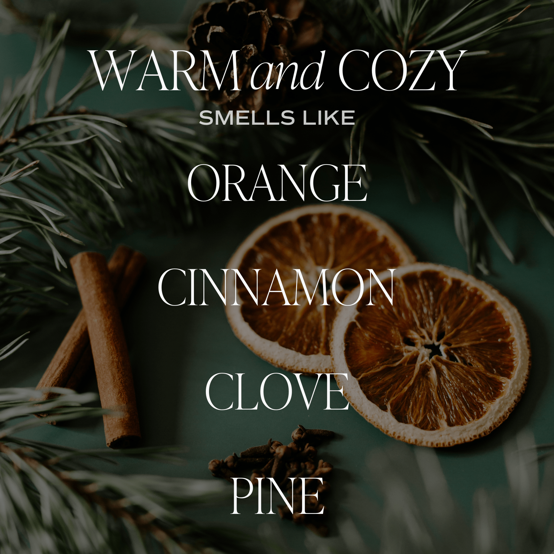 Warm and Cozy 15 oz Soy Candle - SPARROW