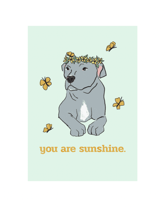 You Are Sunshine Dog Greeting Card - SPARROW