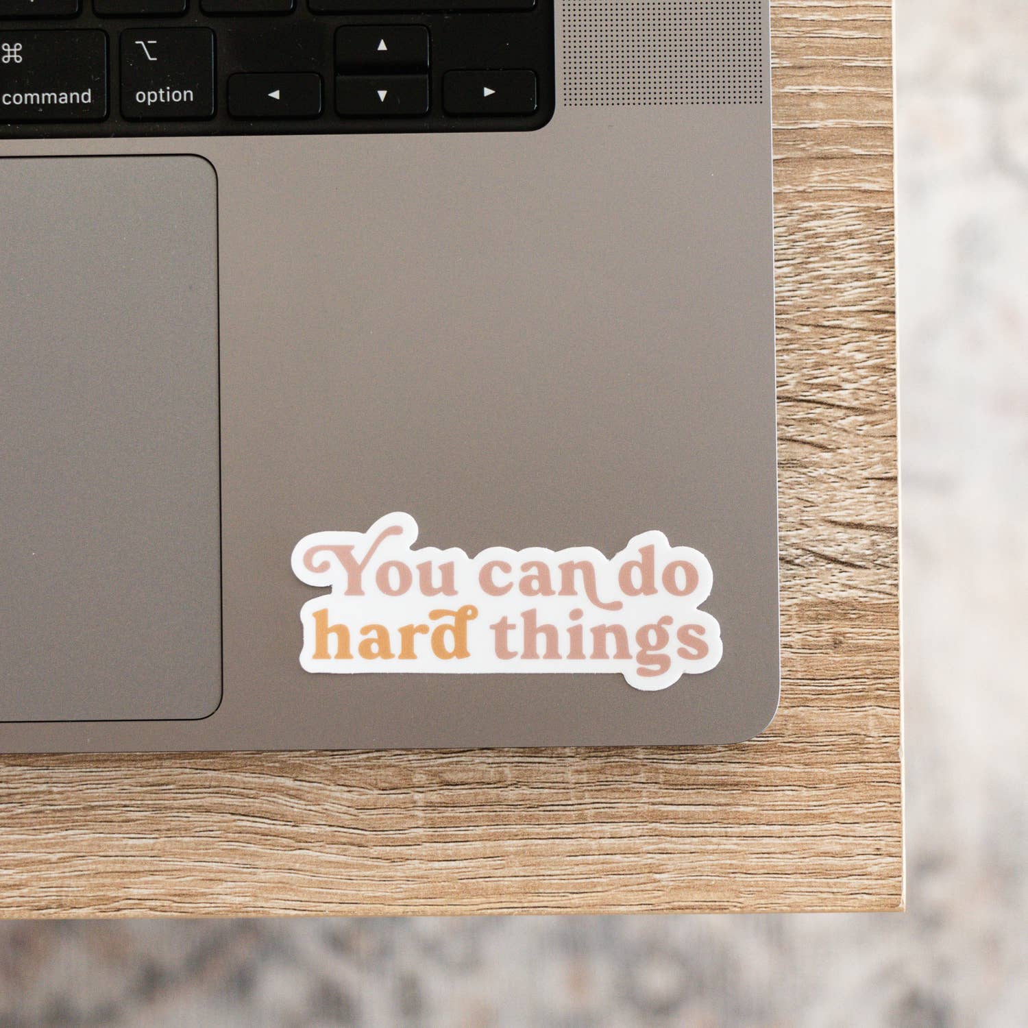 You Can Do Hard Things - Sticker - SPARROW